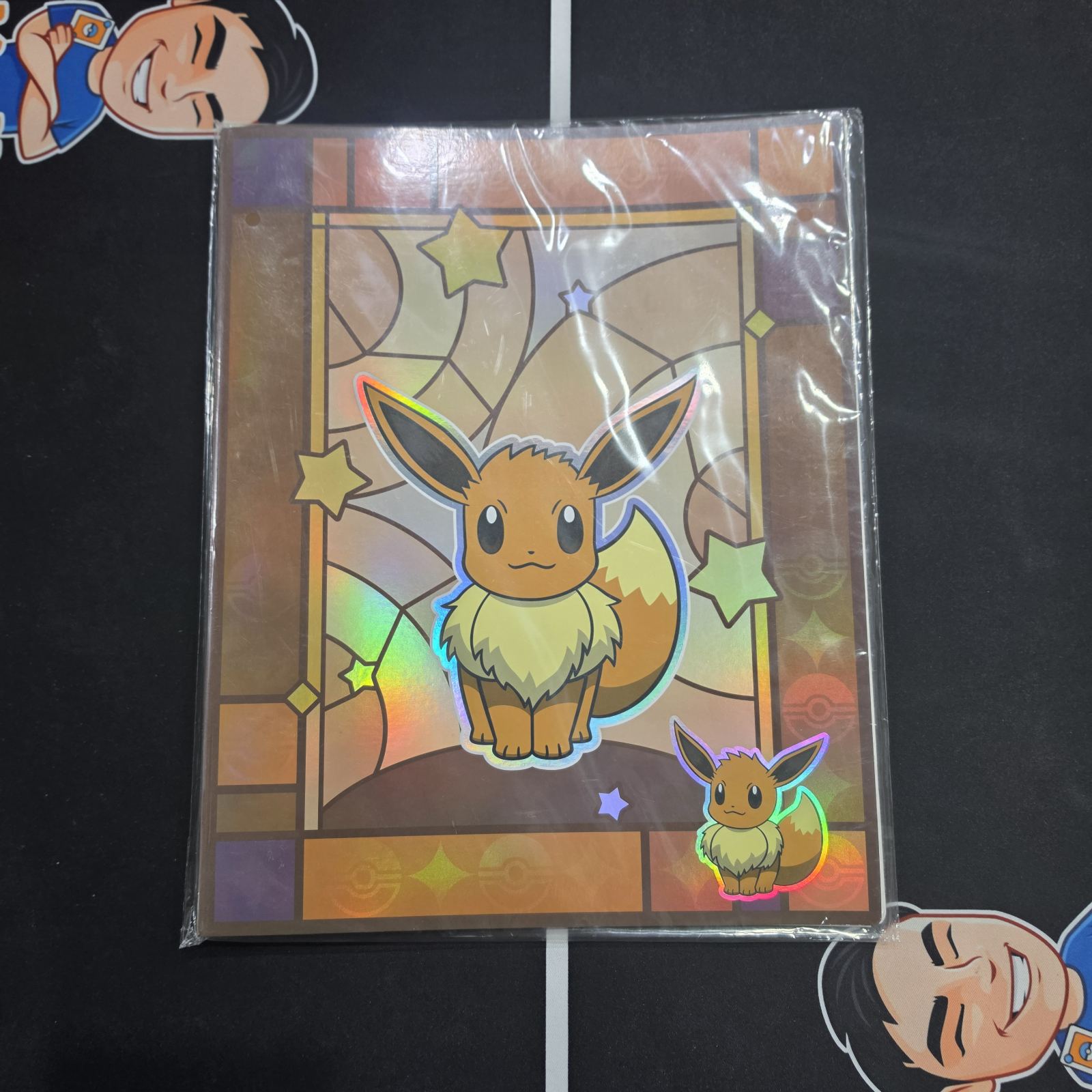 Pokemon Gem Pack Eevee Binder