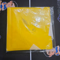 Pokemon Jolteon Binder