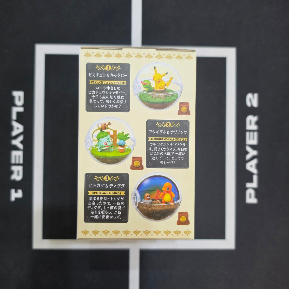 Pokemon Terrarium Box
